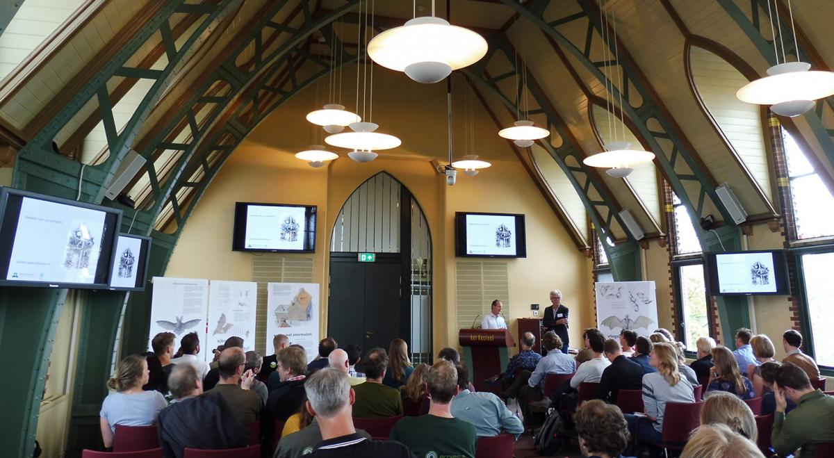 Vleermuizen in de Stad Symposium in Groningen 2019