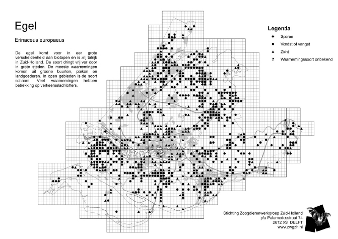 Verspreiding egel in Zuid-Holland (2000-2008)