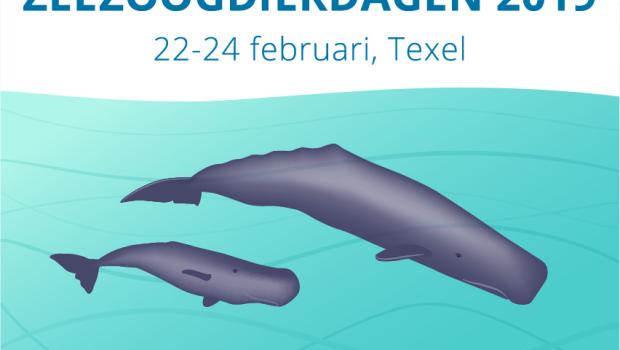Zeezoogdierdagen 2019