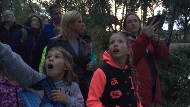 Excursie Nacht van de Vleermuis 2019