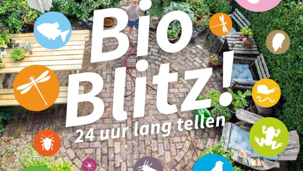 Header Bioblitz Jaarrond Tuintelling