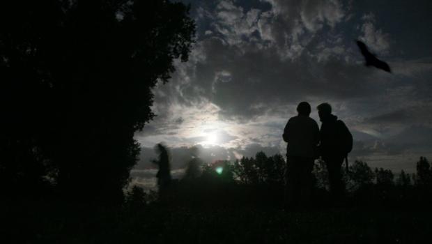 Sfeerfoto Nacht van de Vleermuis