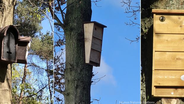 Combinaties van vogel- en vleermuiskasten tegen eikenprocessierupsen