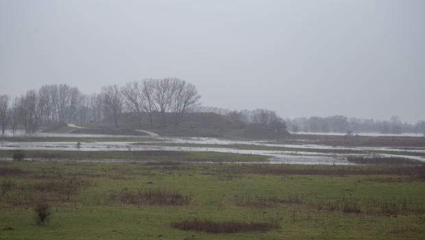 Overstromen Loowaard