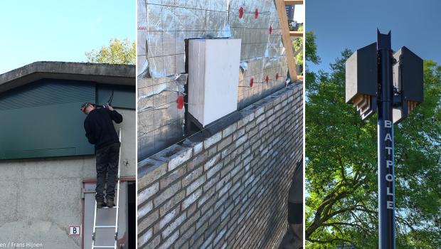 Cursus Mitigeren met Vleermuiskasten