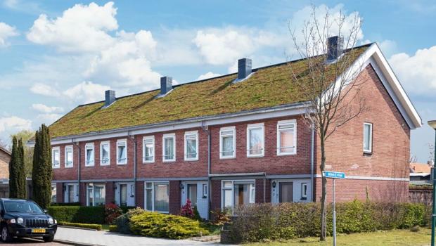 Dakenstroom overzichtsfoto