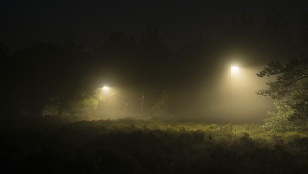 Lichtverstrooiing zorgt voor lichtvervuiling in het landschap (Foto: Kamiel Spoelstra)
