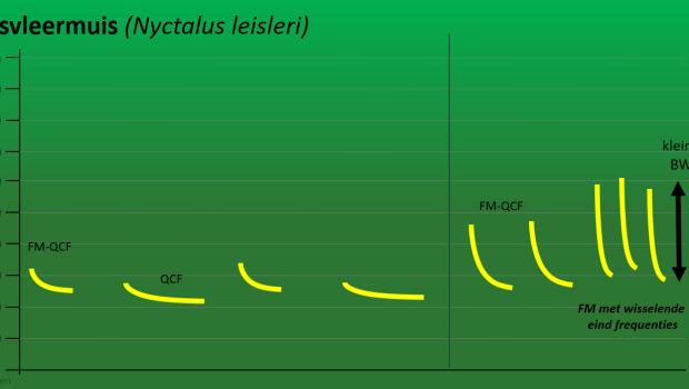 Spectrogram