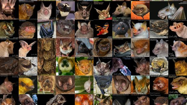 Klik op de afbeelding voor een grotere versie waarop je kunt inzoomen.