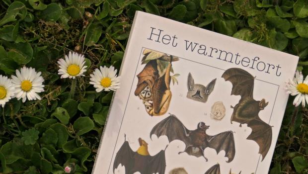 Omslag Warmtefort van Marieke Lucas Rijneveld