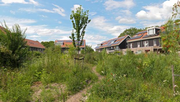 Natuurinclusieve wijk
