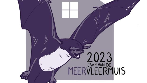 logo jaar van de meervleermuis