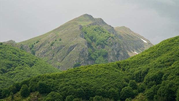 Gorna Belica