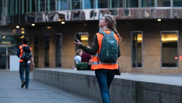 Bat detector binnenhof