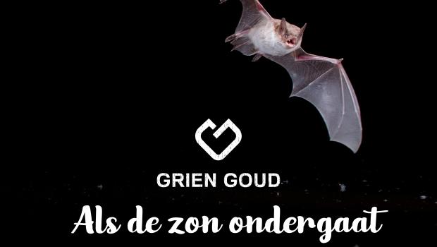Grien Goud