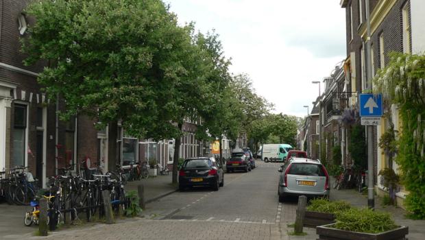 VleerMUS kan ingezet worden voor de populatiemonitoring van gewone dwergvleermuis, ruige dwergvleermuis en laatvlieger in een urbane omgeving (bron: Erik Korsten)