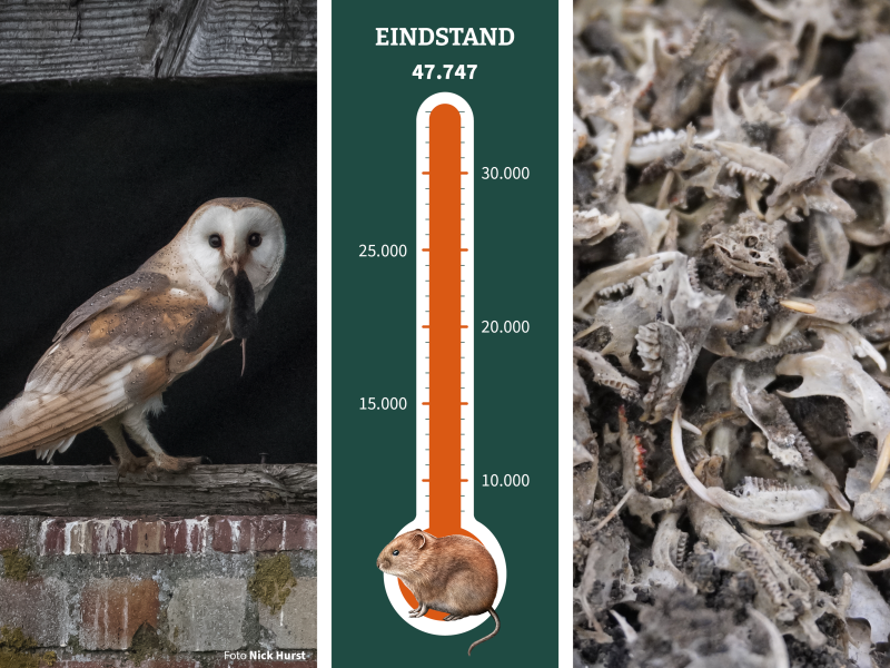 Eindstand recordpoging woelmuizen pluizen