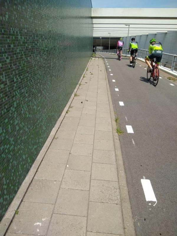 Het aquaduct bij de Jeltesleat zuidelijk van Hommerts in Friesland, waar honderden veldmuizen dood aangetroffen zijn (© Teunis van der Zee)
