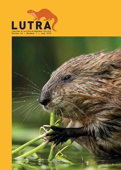 Cover Lutra Deel 62 Nr 1 Juli 2019 (foto Muskusrat)