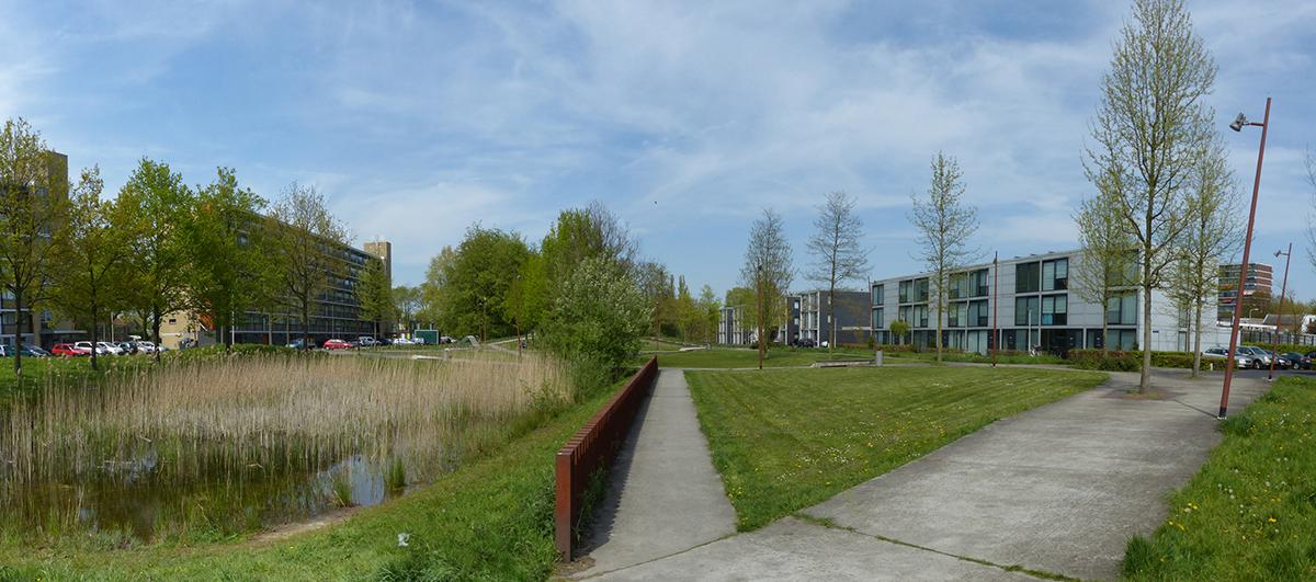 Stadsgroen met wadi