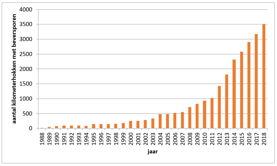 Figuur 2. Ontwikkeling van het aantal kilometerhokken met beversporen in Nederland in de periode 1988-2018 (Bron: Zoogdiervereniging)
