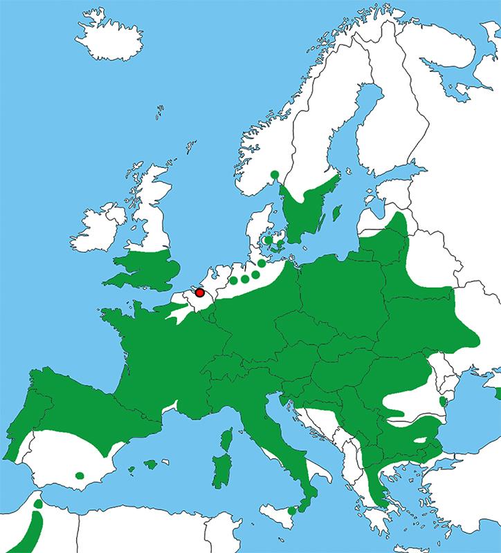 Verspreiding mopsvleermuis Europa 