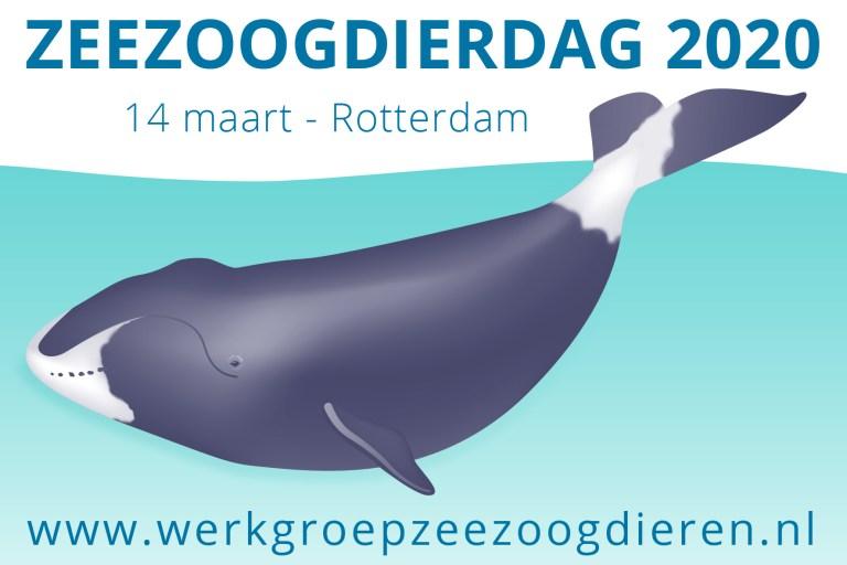 Zeezoogdierdag 2020 (Bron: Werkgroep Zeezoogdieren)