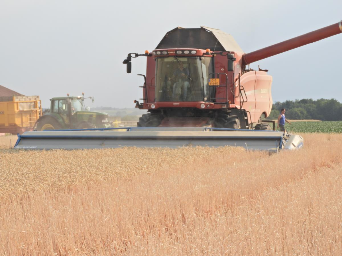 De arenstripper zorgt ervoor dat na de oogst dekking aanwezig blijft (Bron: Gerard Müskens)