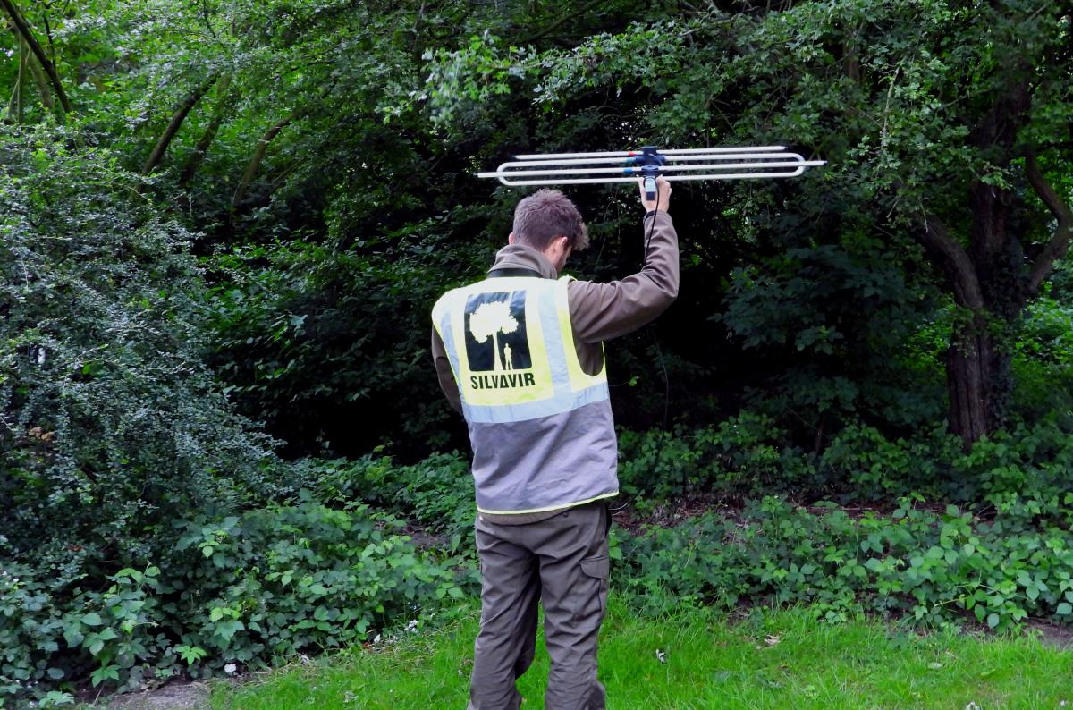 Zenderonderzoek egels