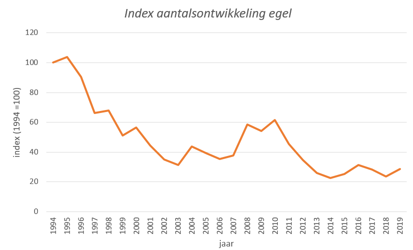 Index aantalsontwikkeling egel 1994-2019 (Bron: Zoogdiervereniging en CBS)