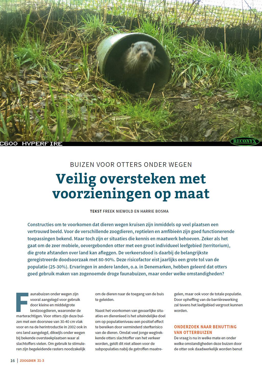 Veilig oversteken met voorzieningen op maat