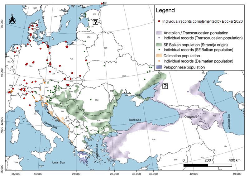 Verspreidingskaart van goudjakhals in Europa (Felix Böcker op basis van Spassov & Acosta-Pankov 2019)