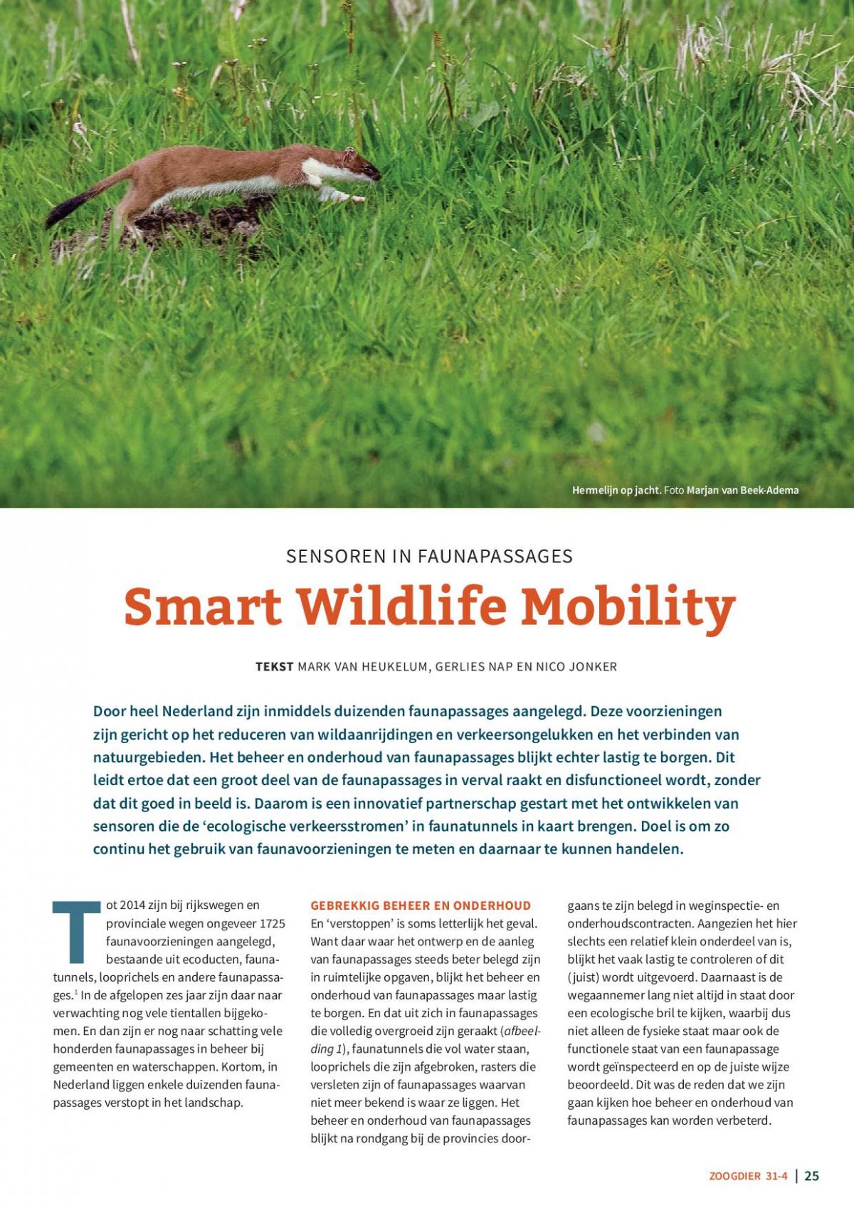 Zoogdier 31-4 Smart Wildlife Mobility