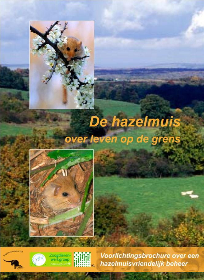 Brochure hazelmuis 2007