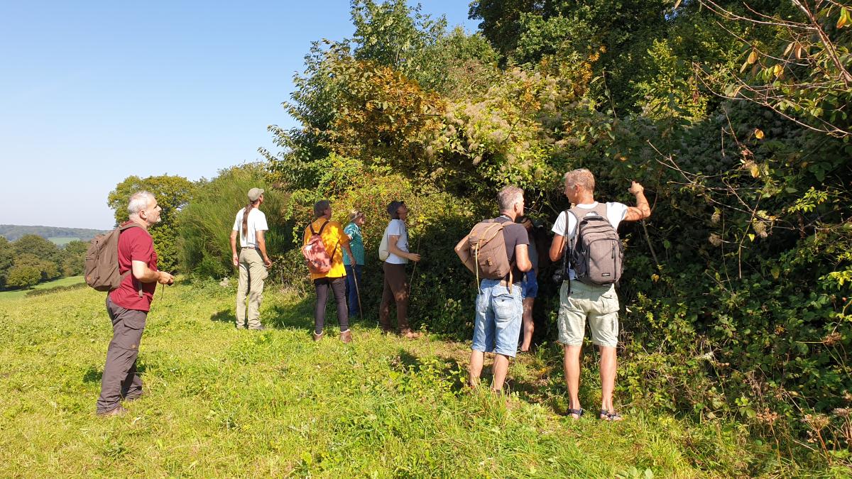 Hazelmuistellers (bron: Sylvia de Graaf)