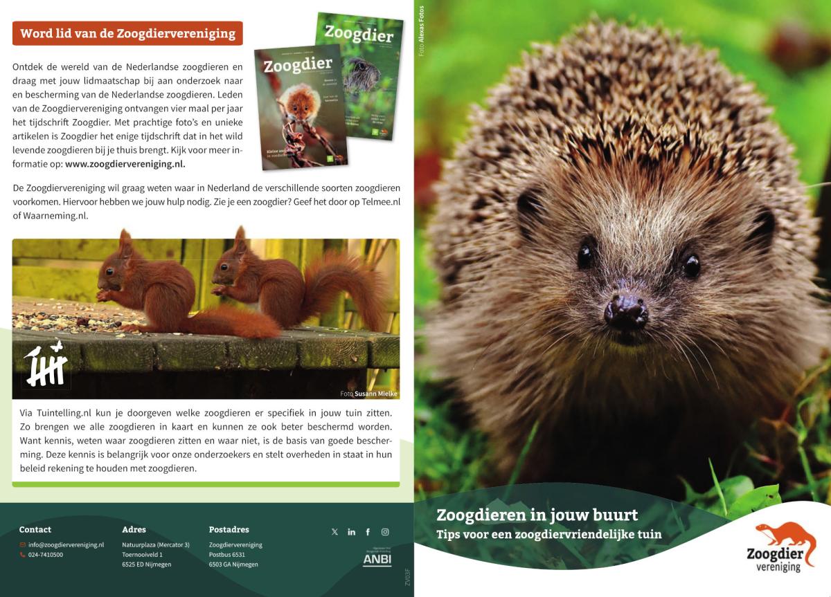 Zoogdieren in jouw buurt