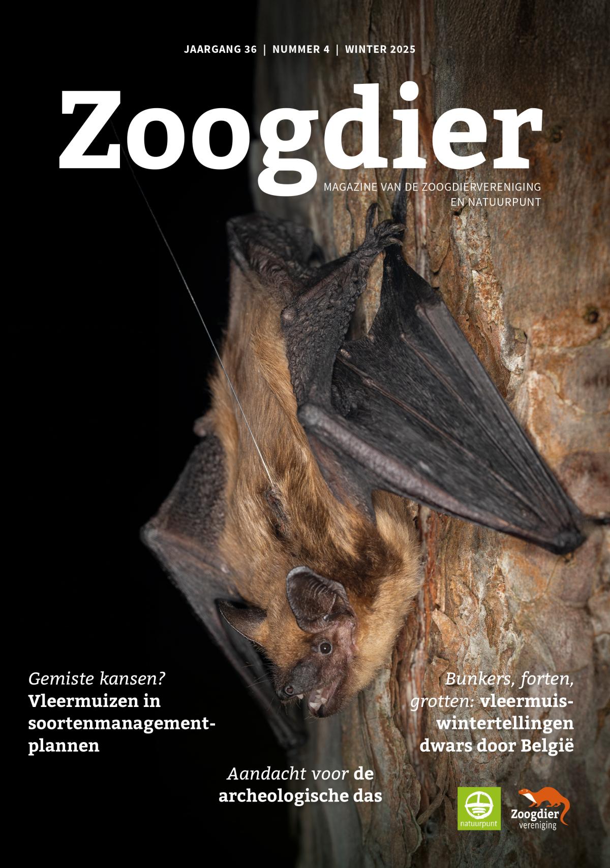 Zoogdier magazine, winter 2025