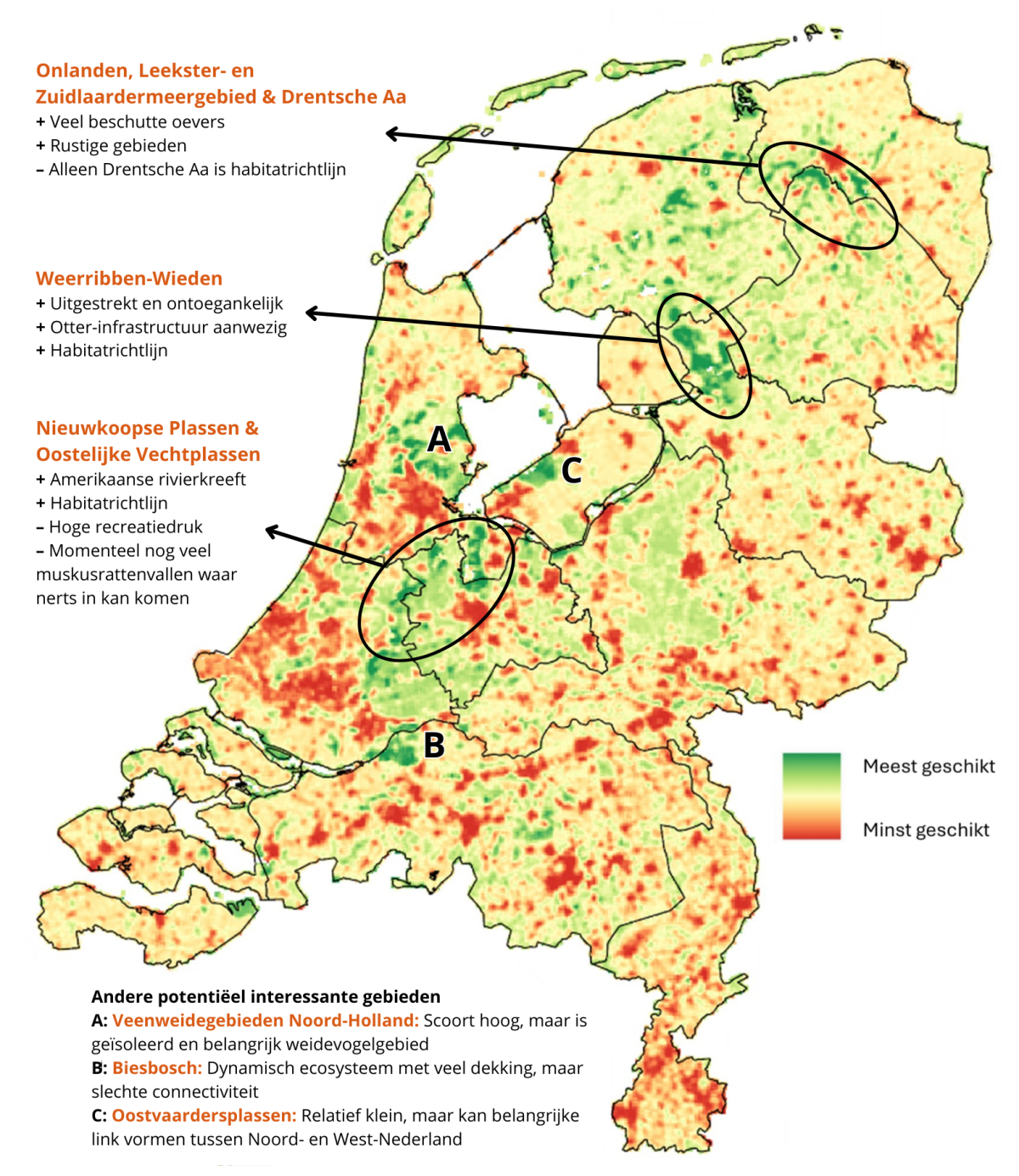 Habitatgeschiktheidskaart voor de Europese nerts in Nederland. De geschiktheid is gebaseerd op landgebruik (weging 3), oeverlengte per km² (weging 2), en wegendichtheid en bebouwingsdichtheid (beide weging 1). Rode gebieden geven het minst geschikte habitat aan en groene gebieden het meest geschikte habitat. Bron: Zwartenkot et al (2025)