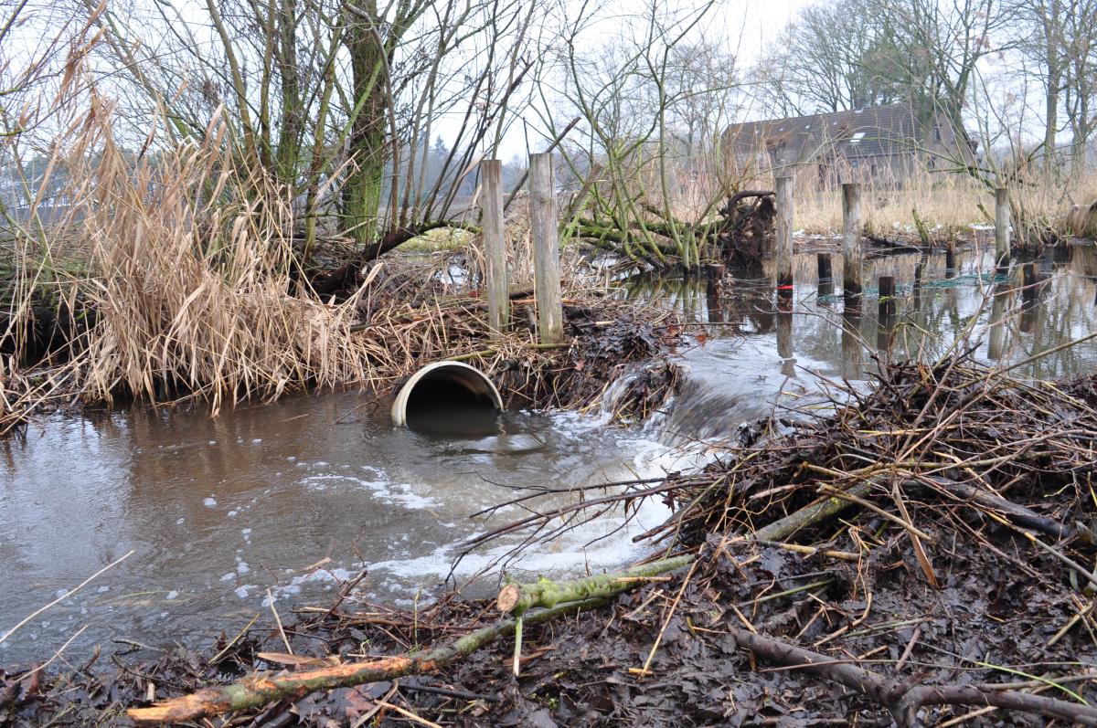 Flow device (bron: Valerie Basten)