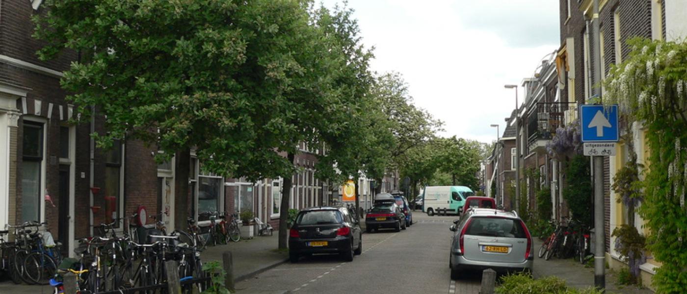 VleerMUS kan ingezet worden voor de populatiemonitoring van gewone dwergvleermuis, ruige dwergvleermuis en laatvlieger in een urbane omgeving (bron: Erik Korsten)