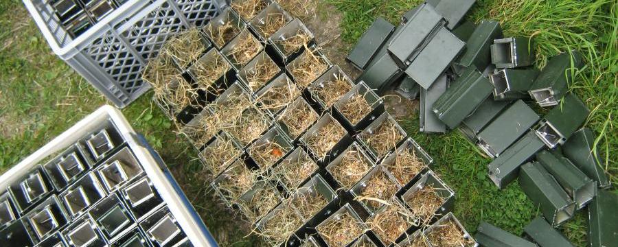 Vallen voor het vangen van kleine grondgebonden zoogdieren.