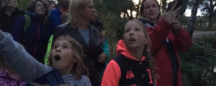 Excursie Nacht van de Vleermuis 2019