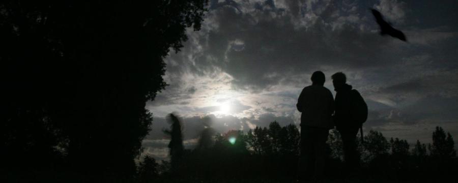 Sfeerfoto Nacht van de Vleermuis