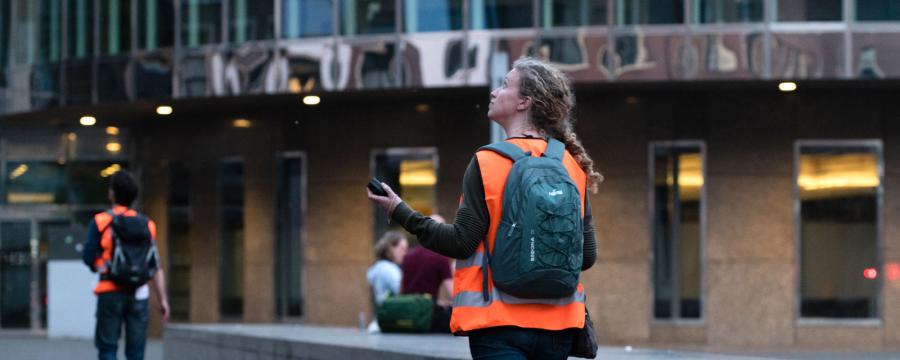 Bat detector binnenhof